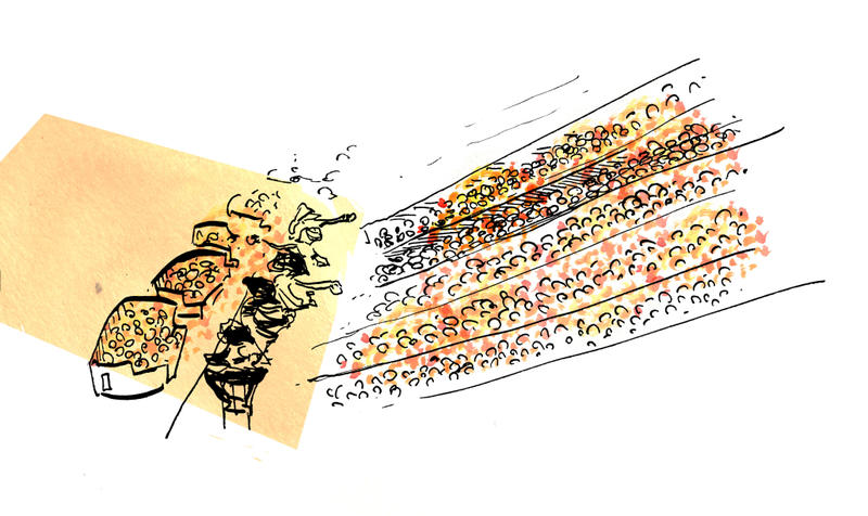 Illustration for article titled Nectarines Exposed